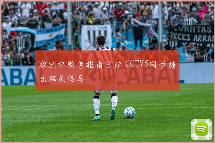 欧洲杯购票指南出炉 CCTV5同步播出相关信息