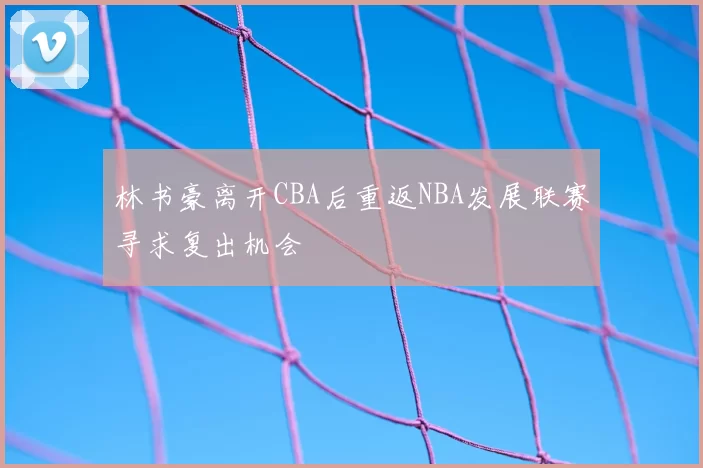 林书豪离开CBA后重返NBA发展联赛寻求复出机会
