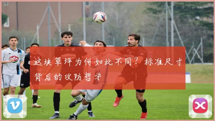 这块草坪为何如此不同?标准尺寸背后的攻防哲学