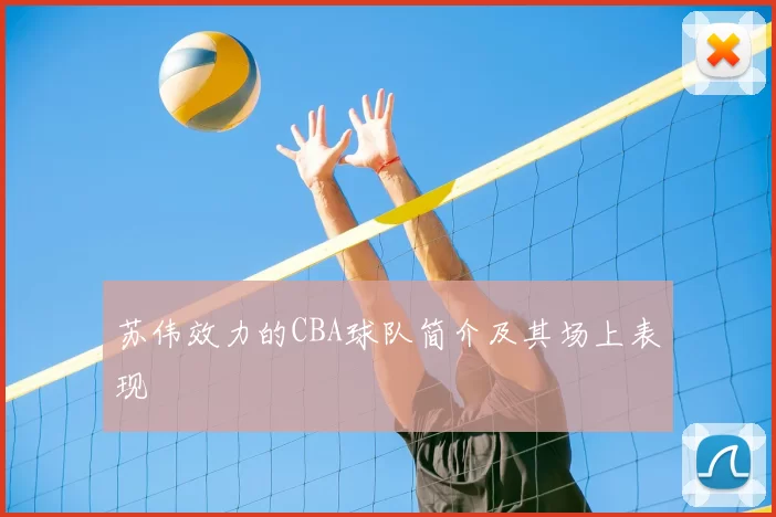 苏伟效力的CBA球队简介及其场上表现