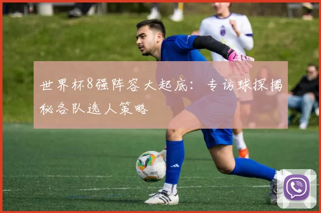 世界杯8强阵容大起底：专访球探揭秘各队选人策略