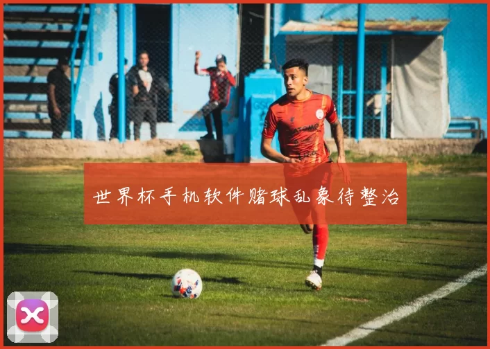 世界杯手机软件赌球乱象待整治