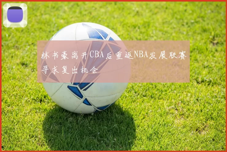 林书豪离开CBA后重返NBA发展联赛寻求复出机会