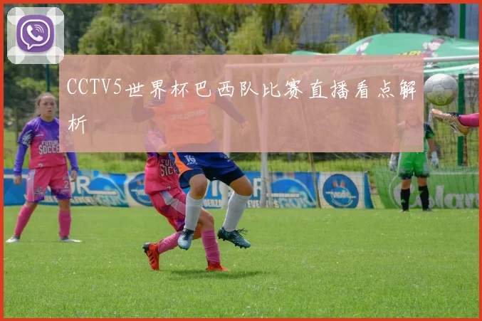 CCTV5世界杯巴西队比赛直播看点解析