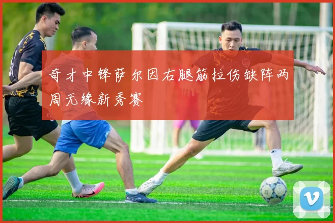 奇才中锋萨尔因右腿筋拉伤缺阵两周无缘新秀赛