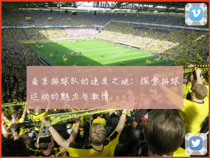 南京排球队的速度之谜：探索排球运动的魅力与激情