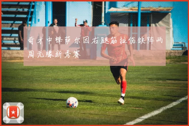 奇才中锋萨尔因右腿筋拉伤缺阵两周无缘新秀赛