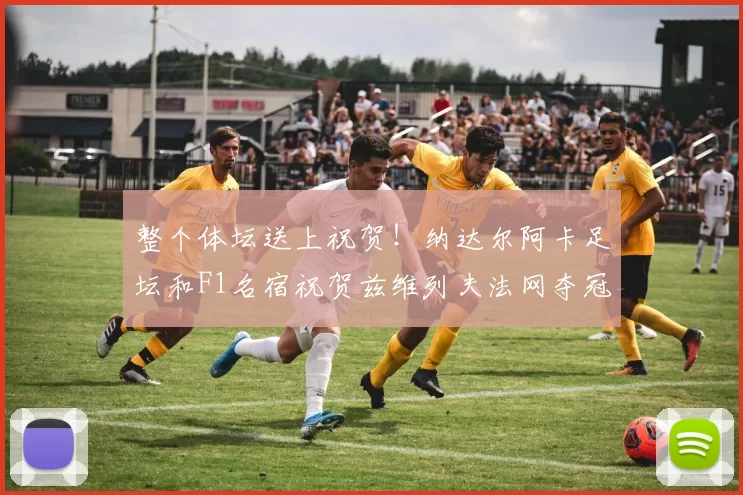 整个体坛送上祝贺！纳达尔阿卡足坛和F1名宿祝贺兹维列夫法网夺冠