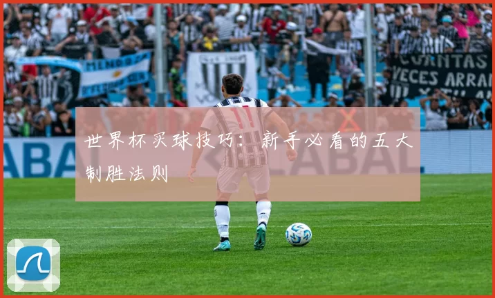 世界杯买球技巧：新手必看的五大制胜法则