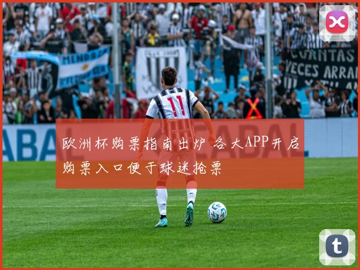 欧洲杯购票指南出炉 各大APP开启购票入口便于球迷抢票