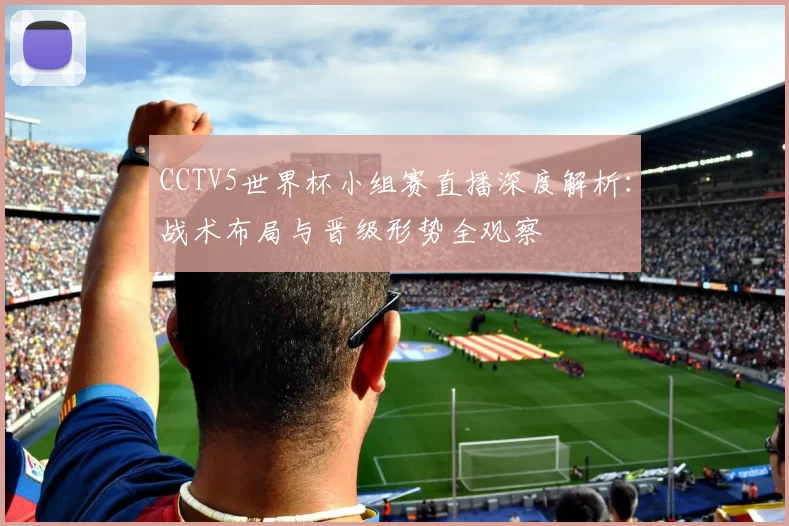 CCTV5世界杯小组赛直播深度解析：战术布局与晋级形势全观察
