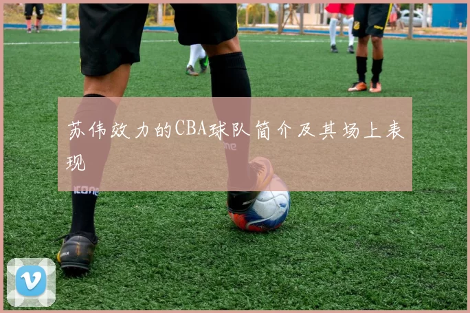 苏伟效力的CBA球队简介及其场上表现
